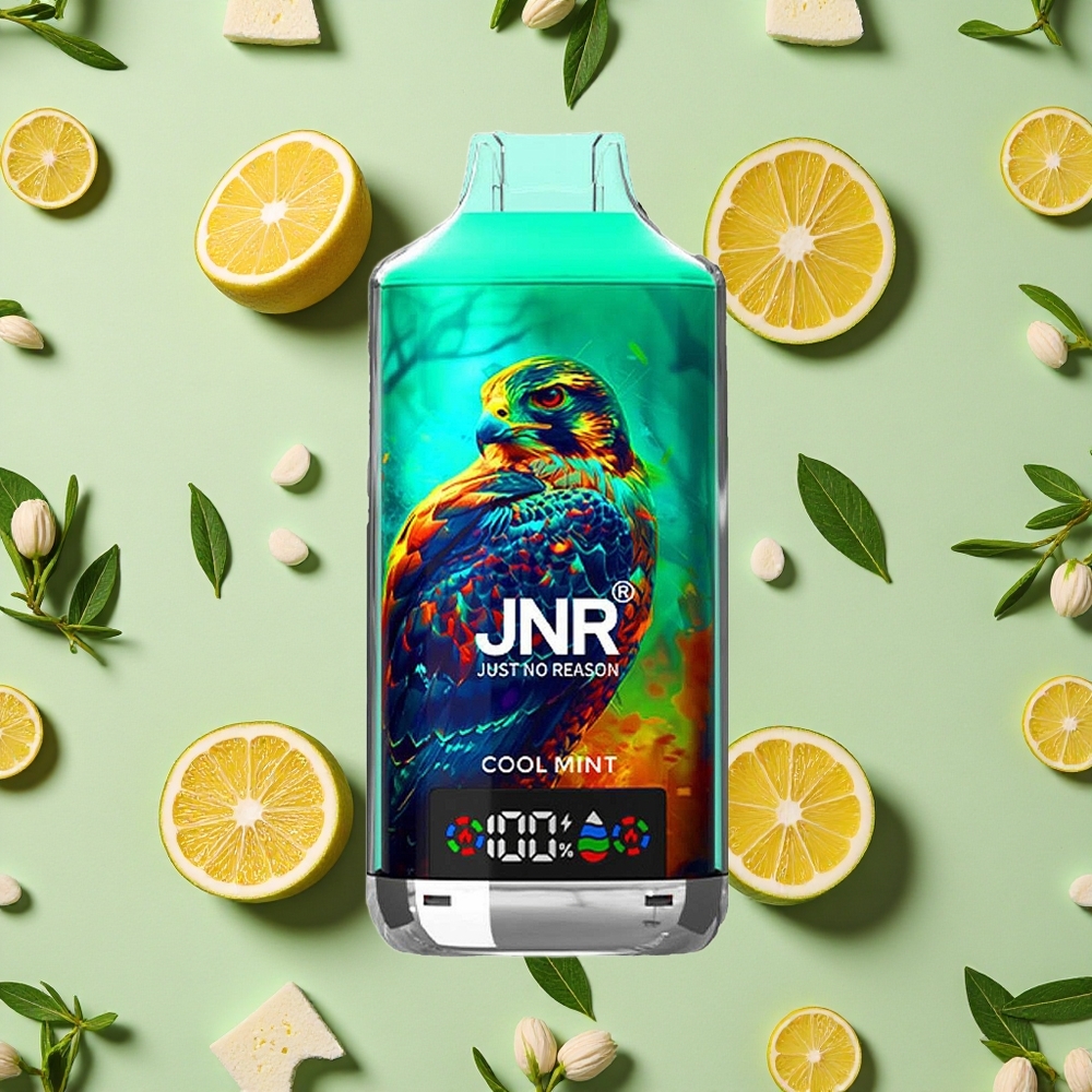 JNR Falcon X 18000 Puffs 24ml E-líquido Menta Fresca