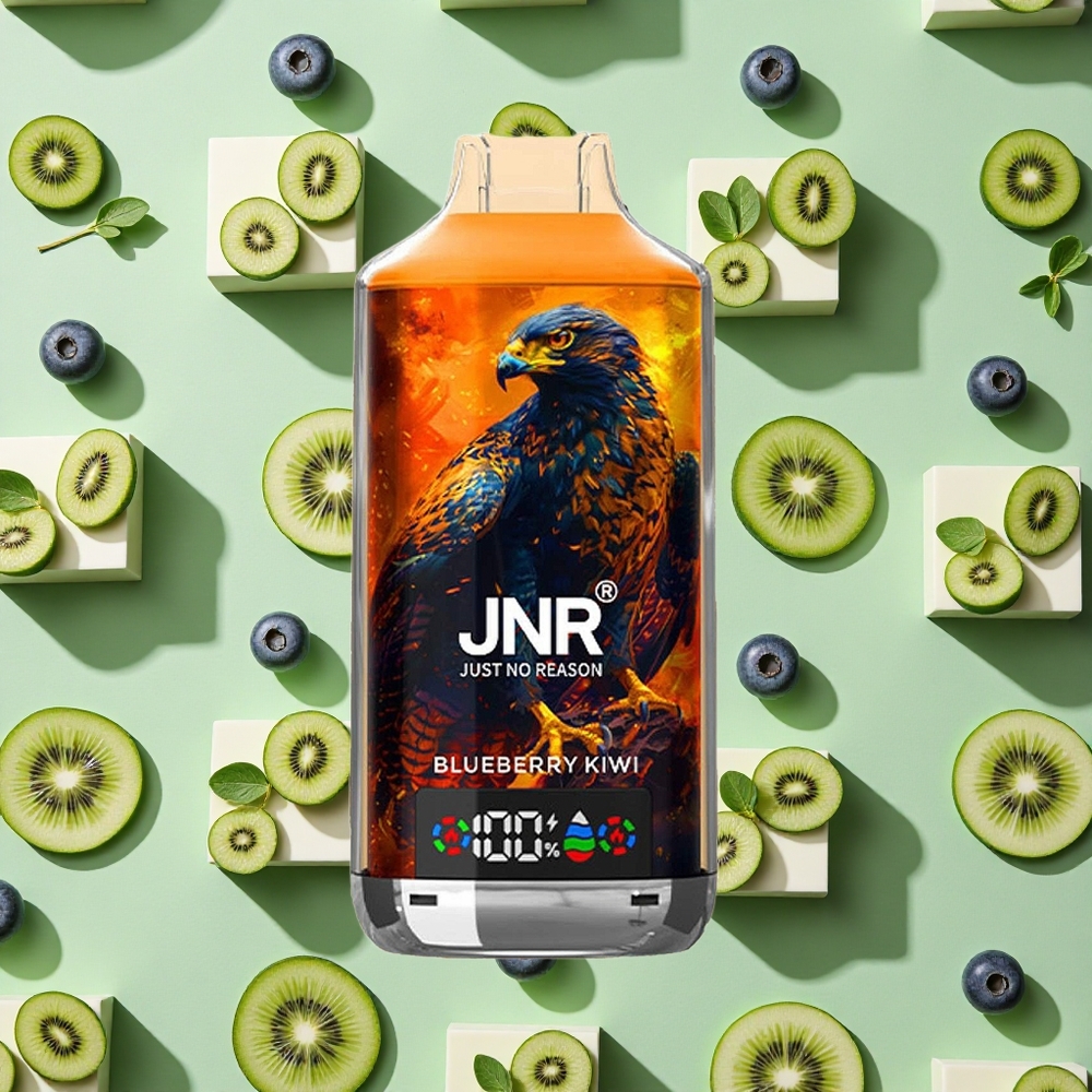 JNR Falcon X 18000 Puffs 24ml E-líquido Mirtilo Kiwi