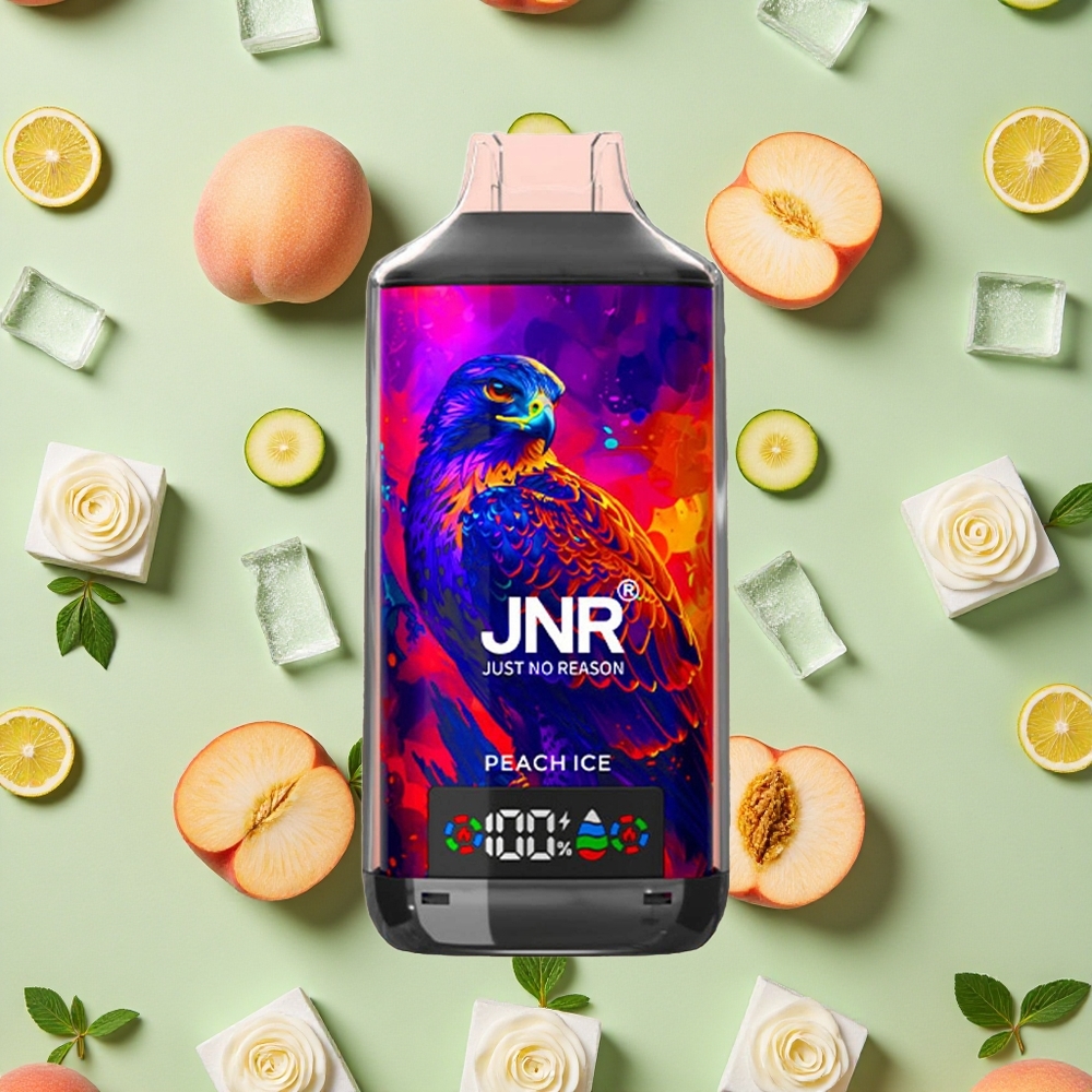 JNR Falcon X 18000 Puffs 24ml E-líquido Pêssego Gelo