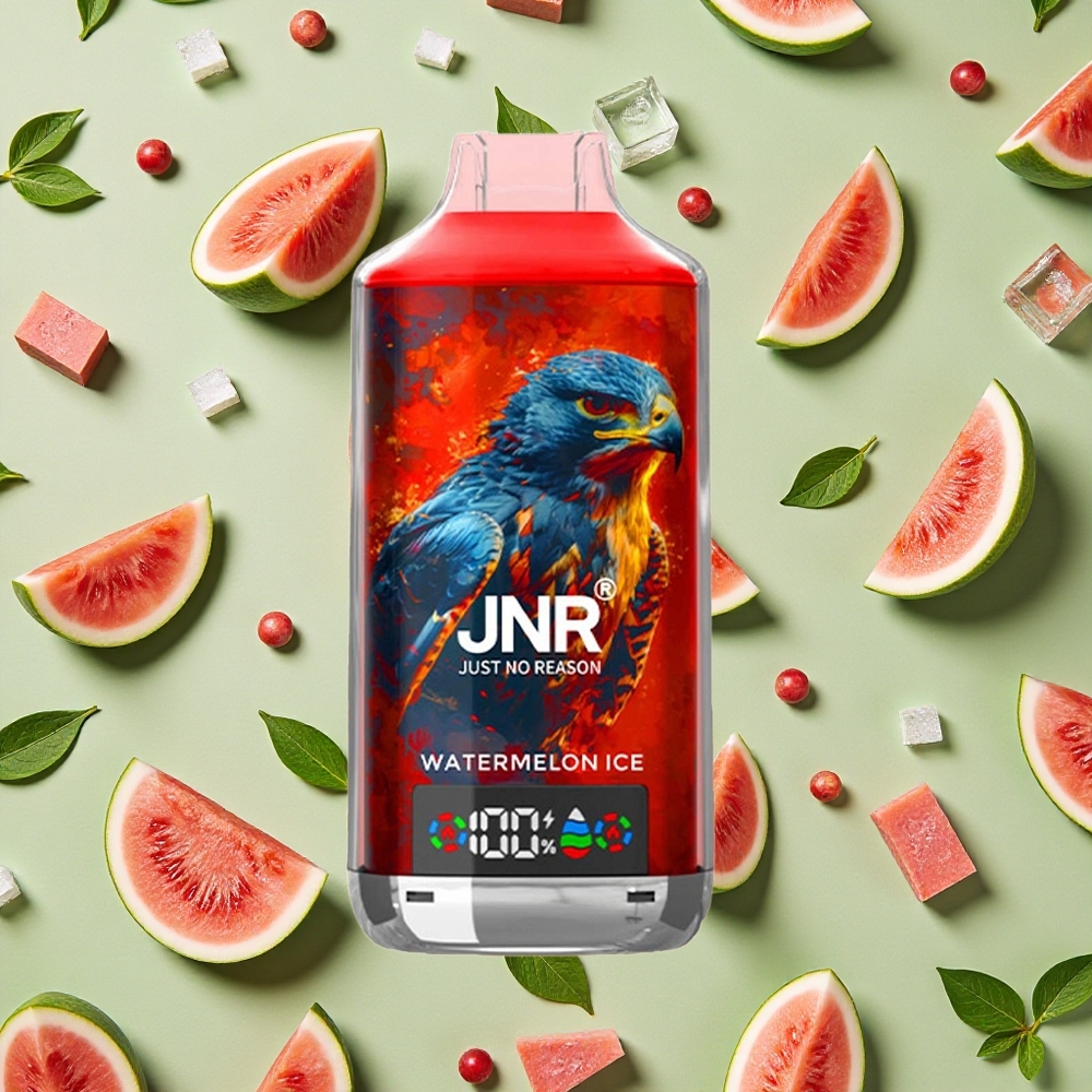JNR Falcon X 18000 Puffs e 24ml E-líquido Vape descartável Melancia Gelo