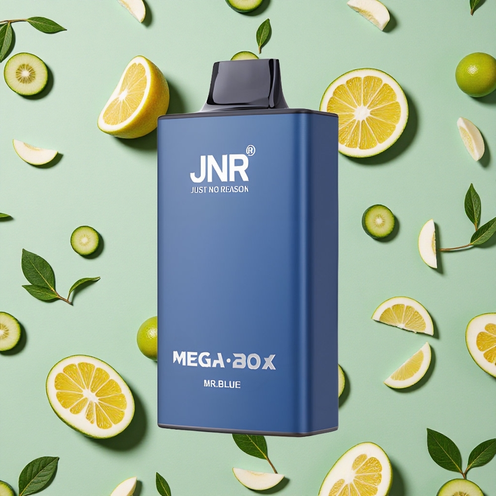 JNR Mega Box 25000 Puffs 30ml E-líquido Azul Senhor Vape descartável