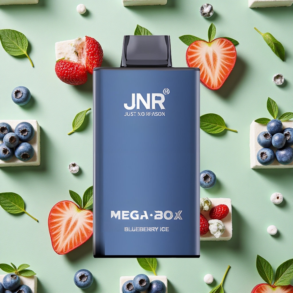 JNR Mega Box 25000 Puffs 30ml E-líquido Mirtilo Gelado Vape descartável