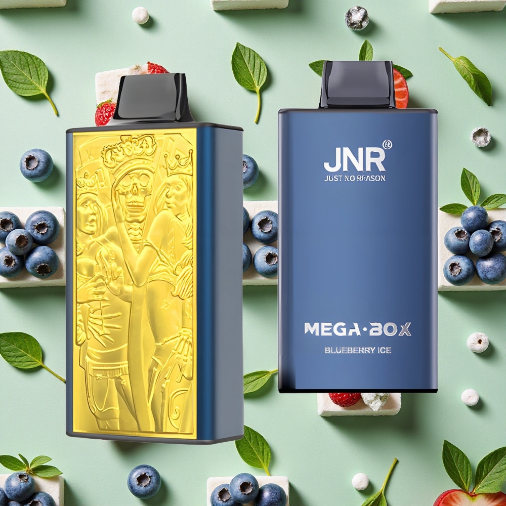 JNR Mega Box 25000 Puffs 30ml E-líquido Mirtilo Gelado Vape descartável