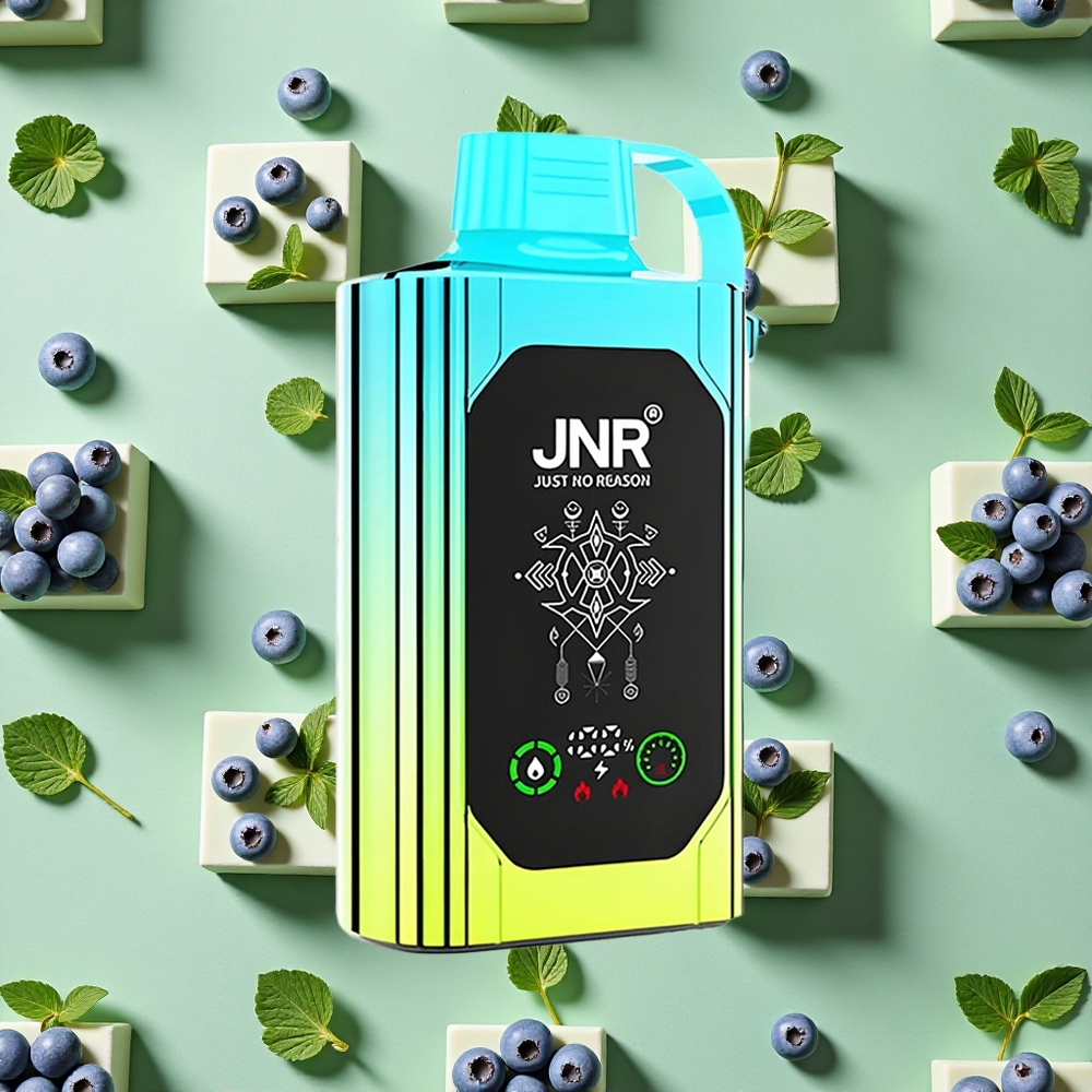 JNR Shisha Hookah Box 20500 Puffs 25ml E-líquido Menta Mirtilo