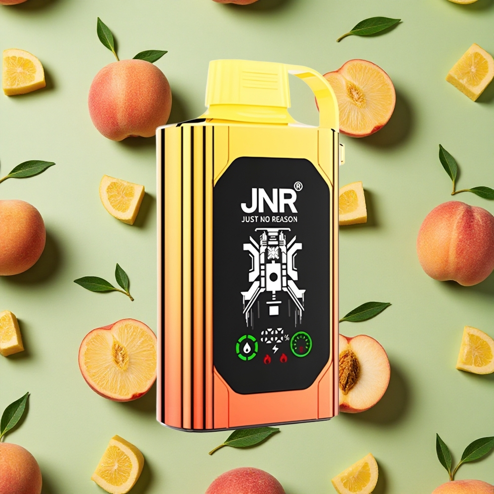 JNR Shisha Hookah Box 20500 Puffs 25ml E-líquido Pêssegos Suculentos