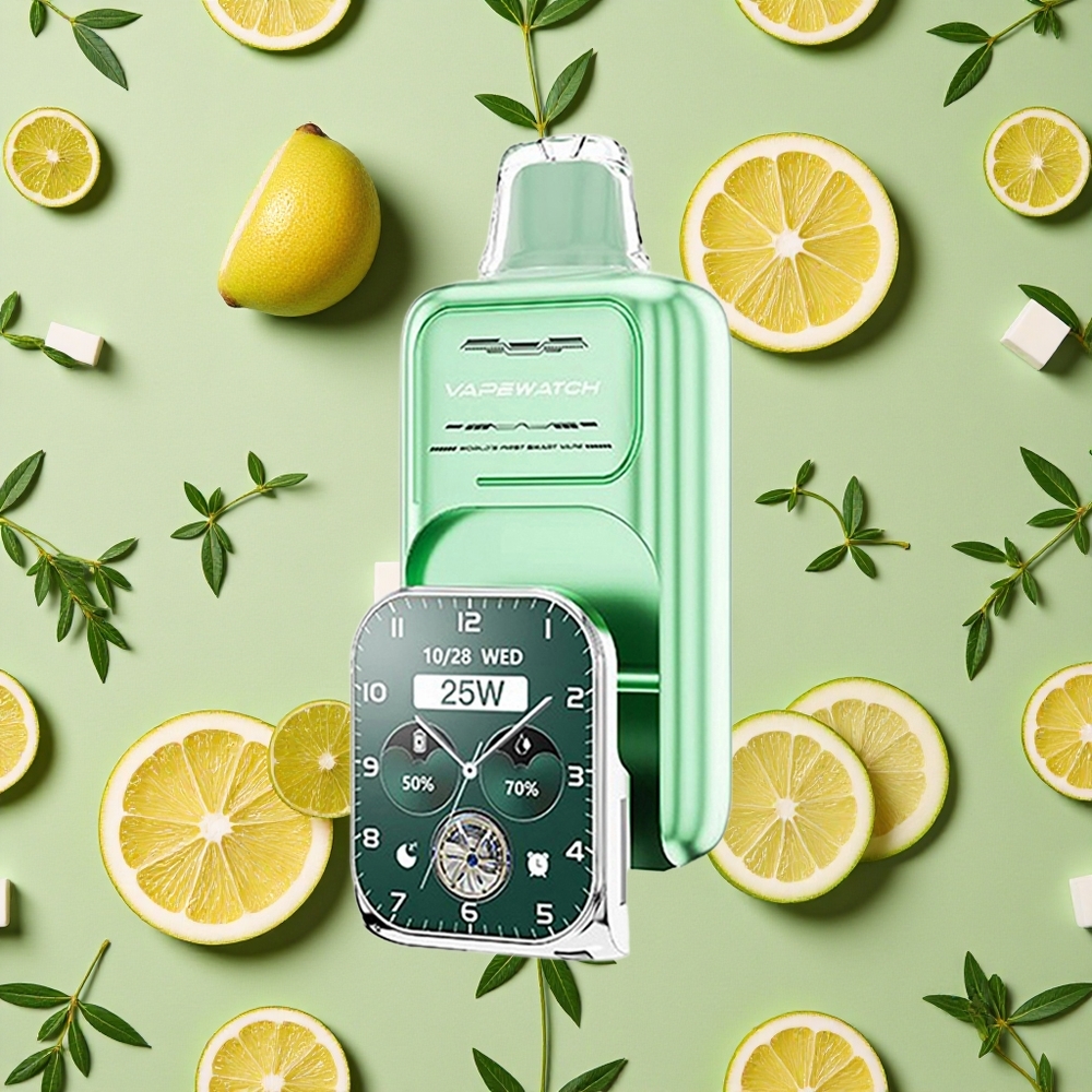 JNR VapeWatch 30000 Puffs 19ml E-líquido Miami Menta