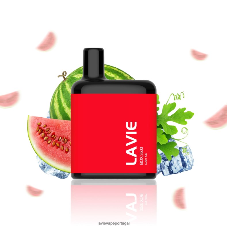 LAVIE Portugal - LAVIE BOX 3500 baforadas gelo exuberante TB68V6211