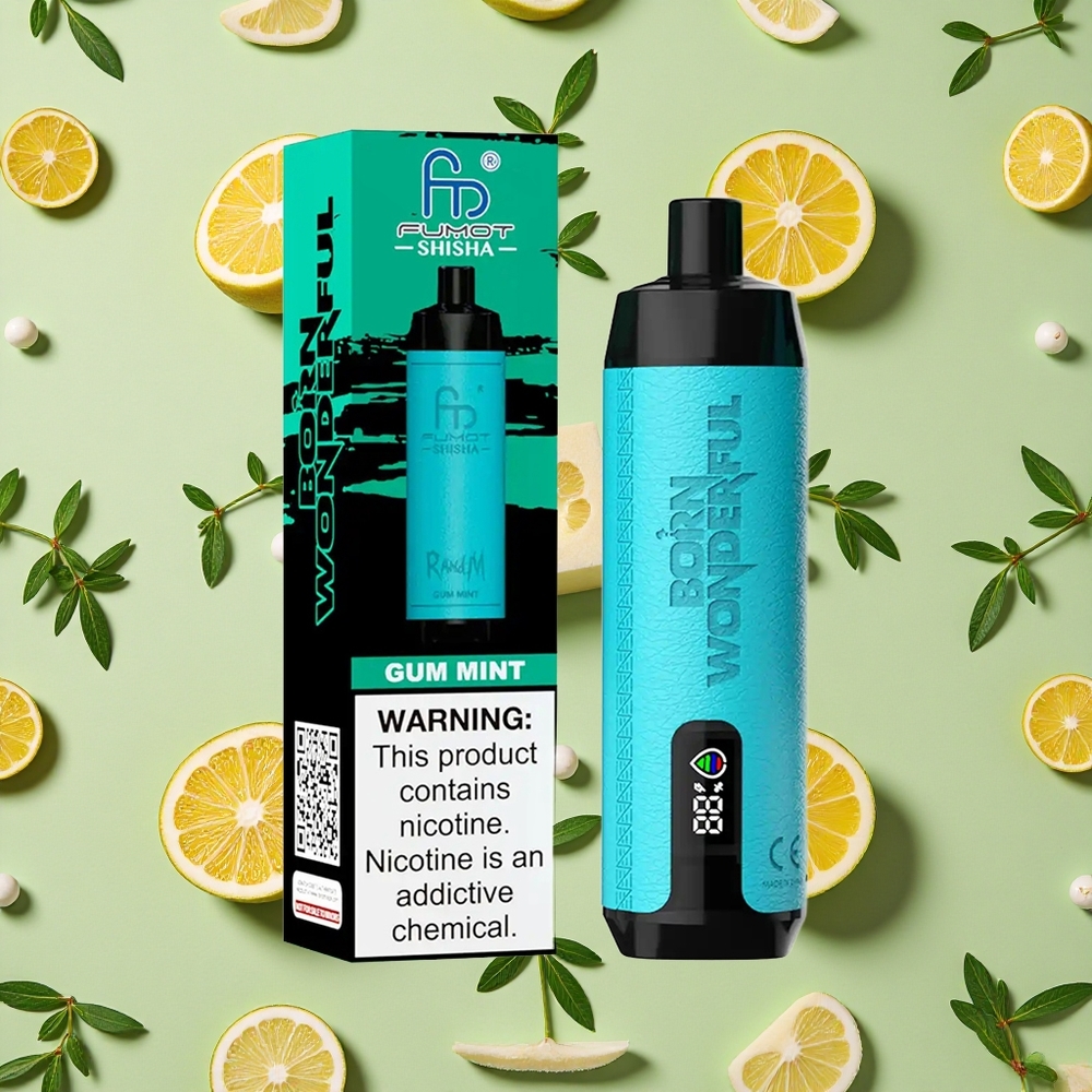 RandM Fumot Shisha 10000 Puffs 18ml E-líquido Goma de Menta Vape descartável