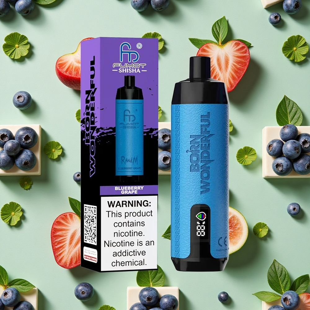 RandM Fumot Shisha 10000 Puffs 18ml E-líquido Mirtilo Uva Vape descartável