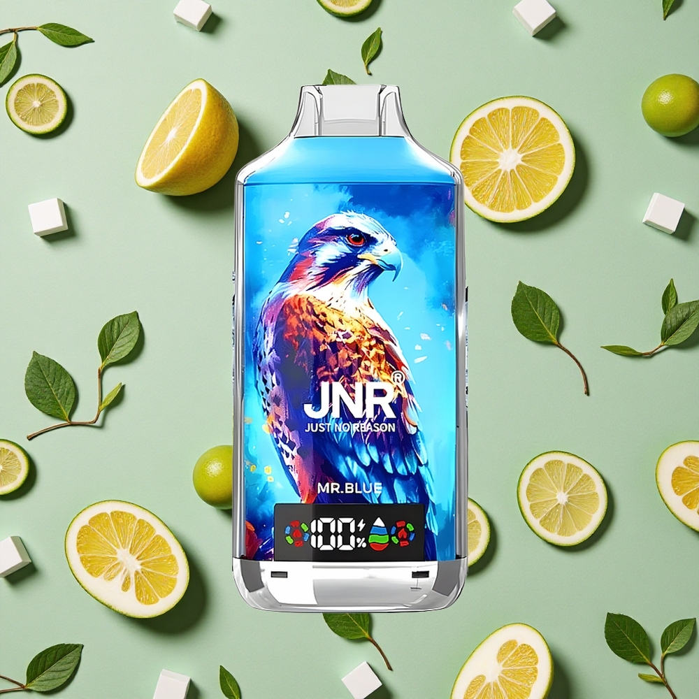 JNR Falcon X 18000 Puffs 24ml E-líquido Sr. Azul